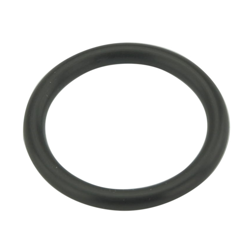 PT 113 O-Ring B2/B3 ZB2152005 (AAA)