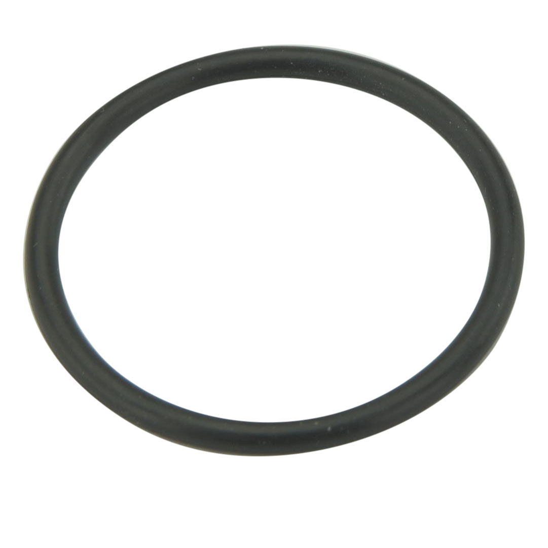 PT 107 O-Ring F1450M Z2041104-04070-0
