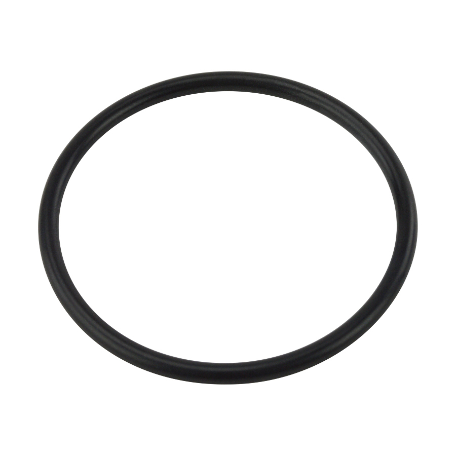PT 111 O-Ring FCN50LHH Z2041104-05050-0