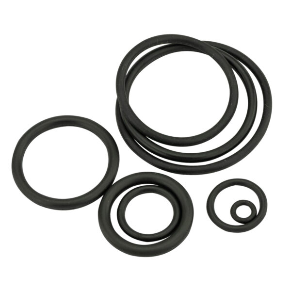 PT 00 O RING KIT A6422V